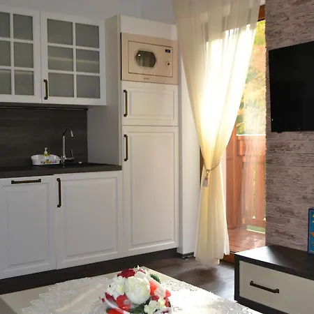 Romantika Rose11 * Tale